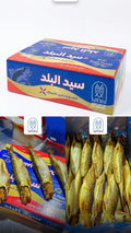 رنجة هولندية ابيض - 25 سمكة