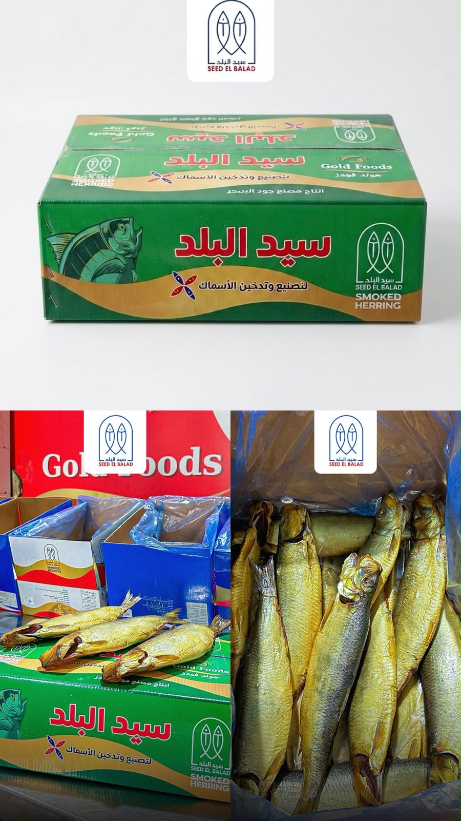 رنجة روسية - 17 سمكة