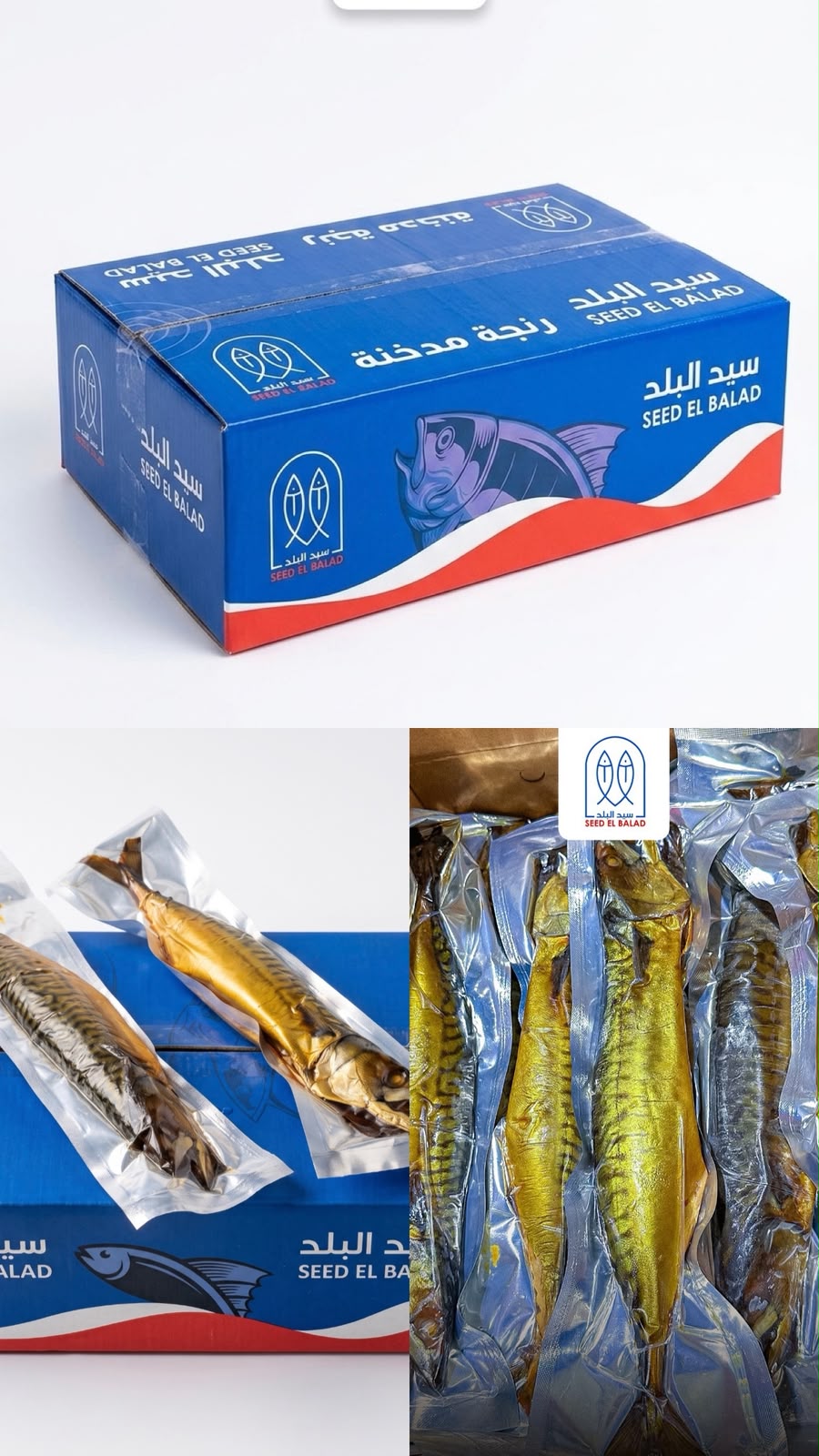 ماكريل فاكيوم