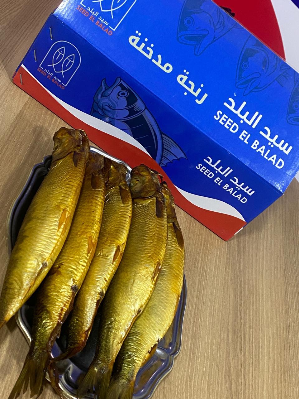 رنجة آيسلندية بطارخ 17 سمكة