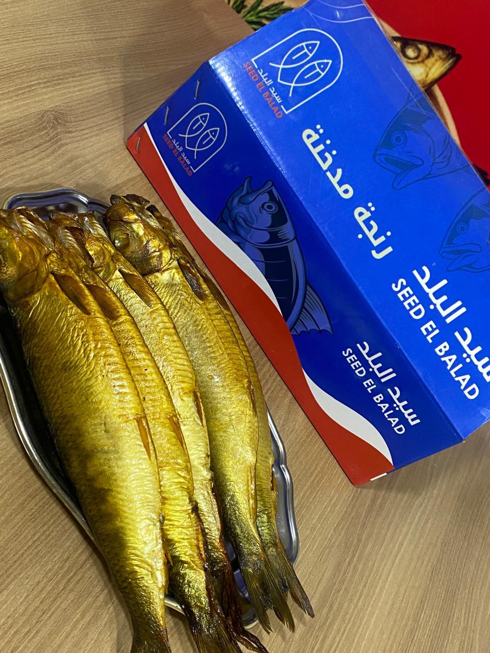 رنجة آيسلندية 18/19 سمكة